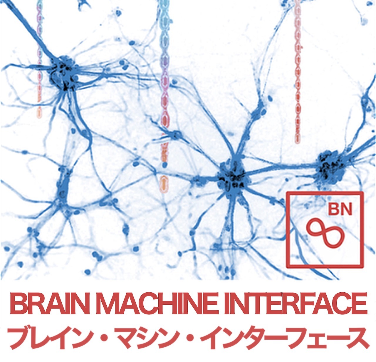 Brain Machine Interface | ブレイン・マシン・インターフェース